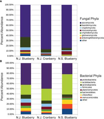 Assessment and comparison of rhizosphere communities in cultivated Vaccinium spp. provide a baseline for study of causative agents in decline
